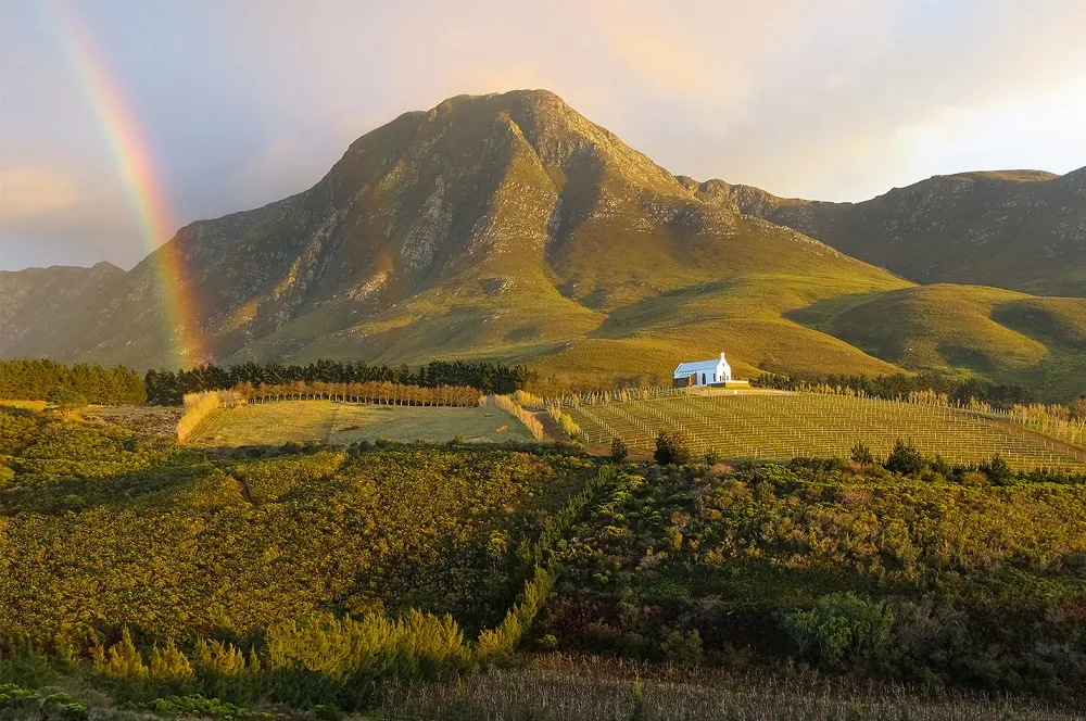 Percy Tours Hermanus