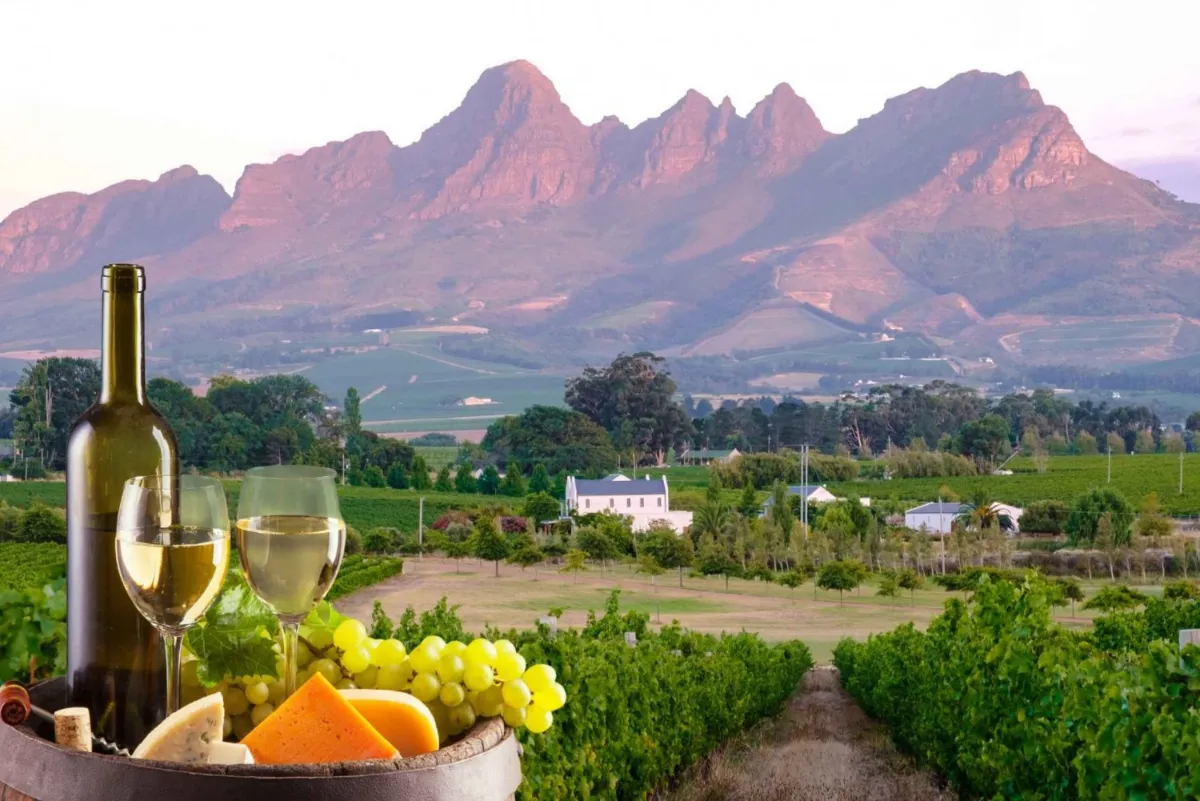 Franschhoek Wine Tours Cape Town