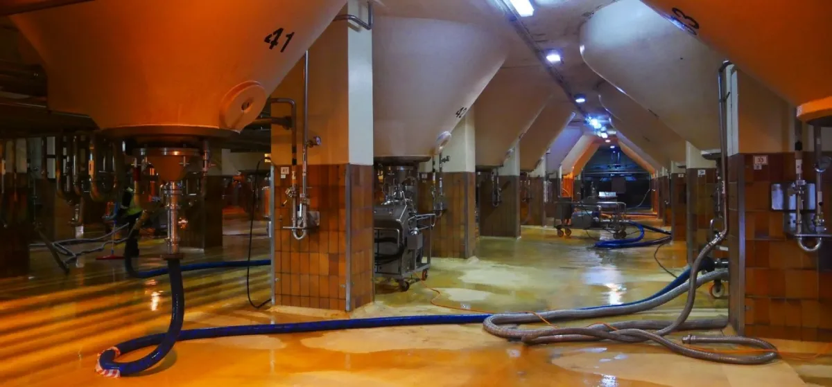 Newlands Brewery Tours