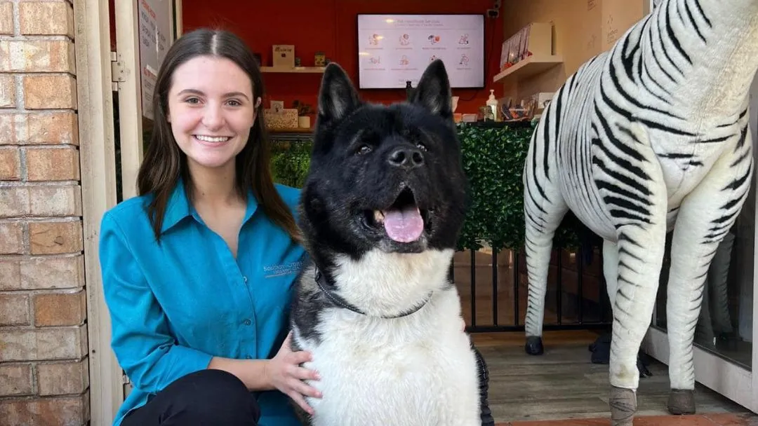 Southern Cross Veterinary Clinic