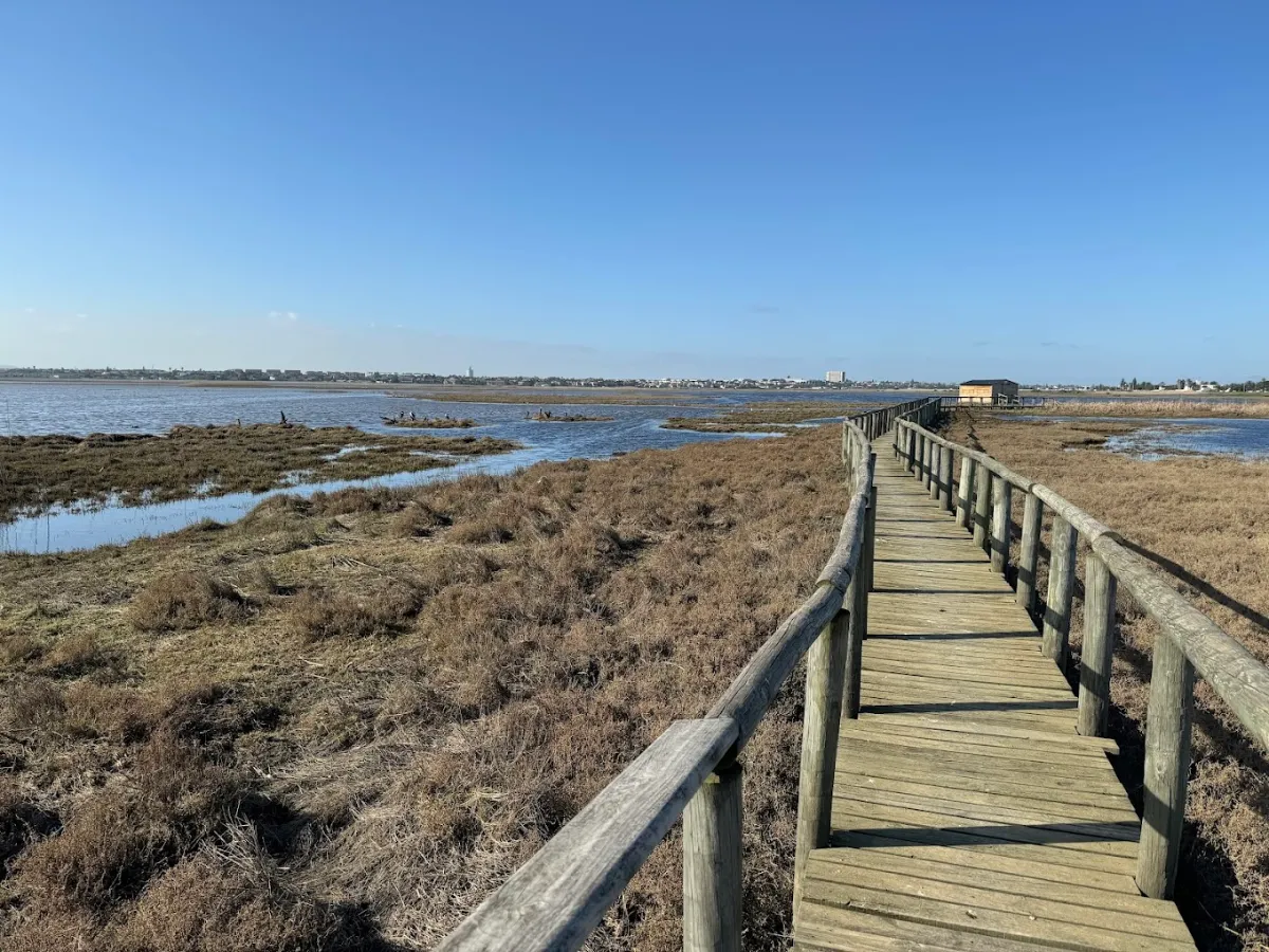 Rietvlei Wetland Reserve