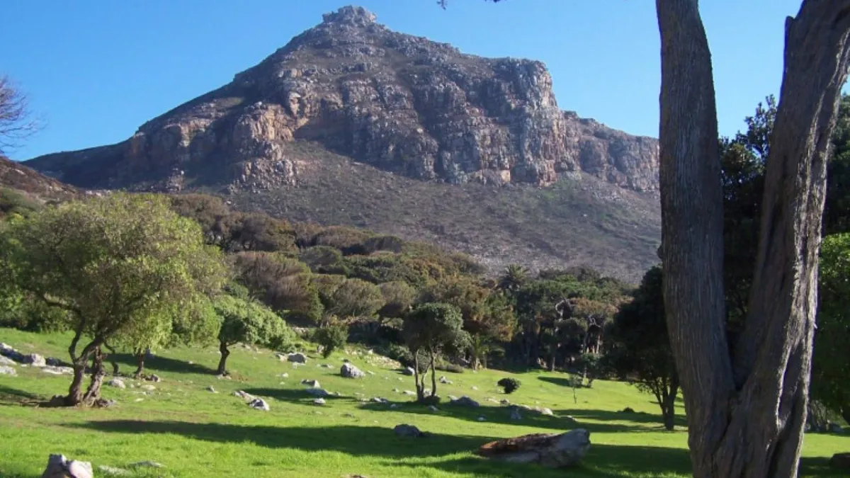 Muizenberg Park