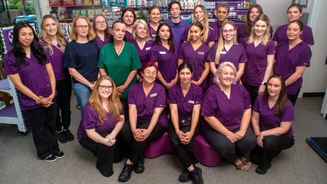 Summer Hill Village Vet