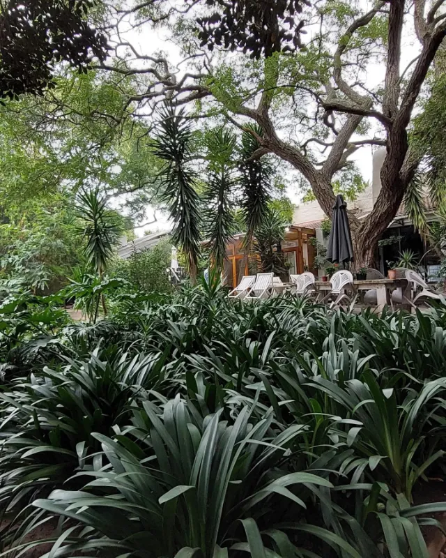 The Wild Fig Guesthouse