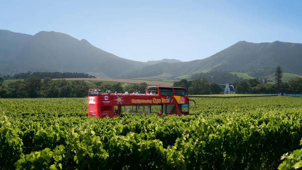 City Sightseeing Purple Wine Tour