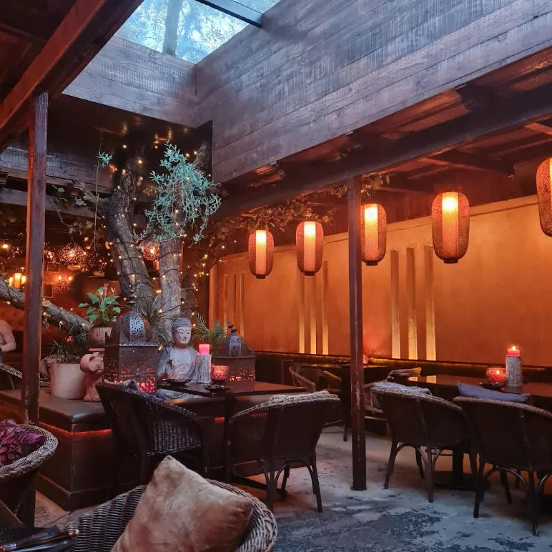 Asoka