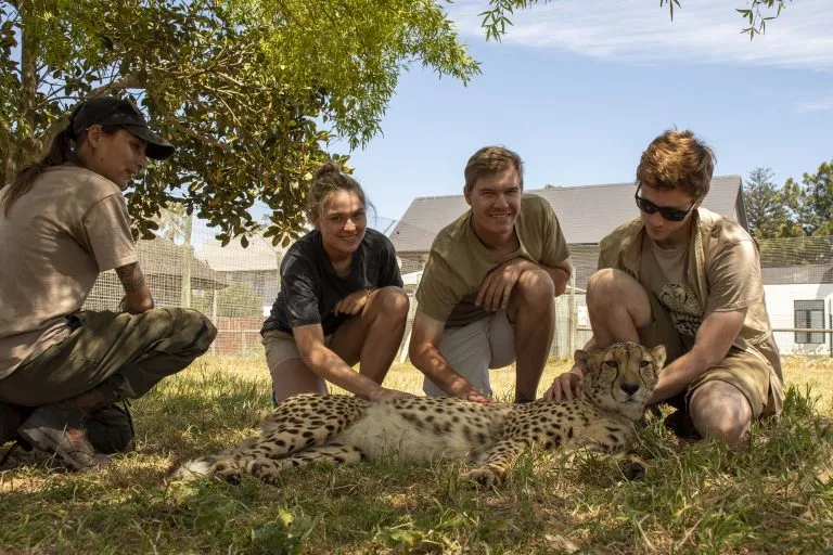 Cheetah Outreach