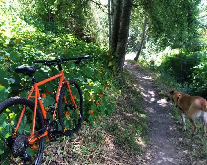 Constantia Greenbelt and Forest