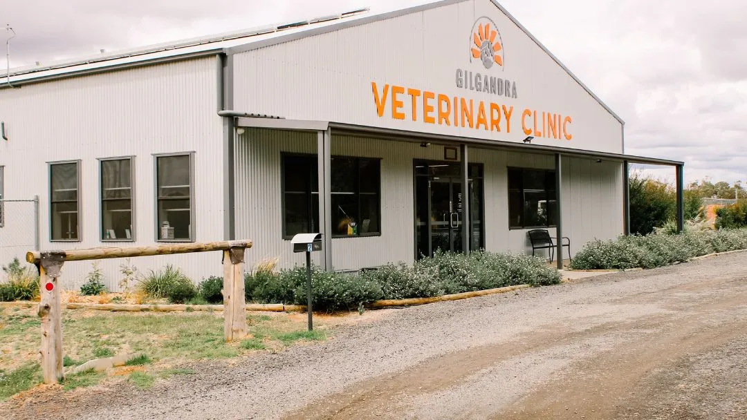 Gilgandra Veterinary Clinic