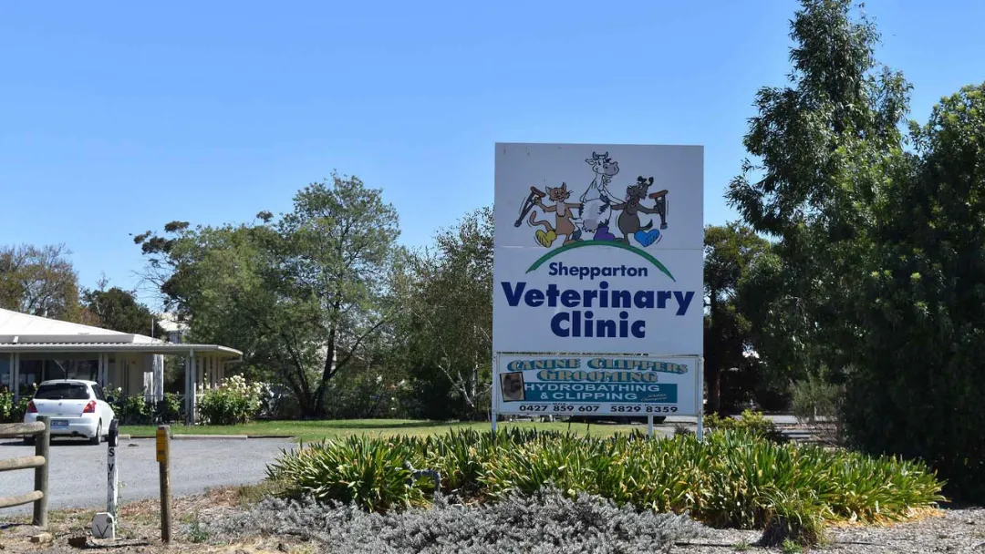 Shepparton Veterinary Clinic