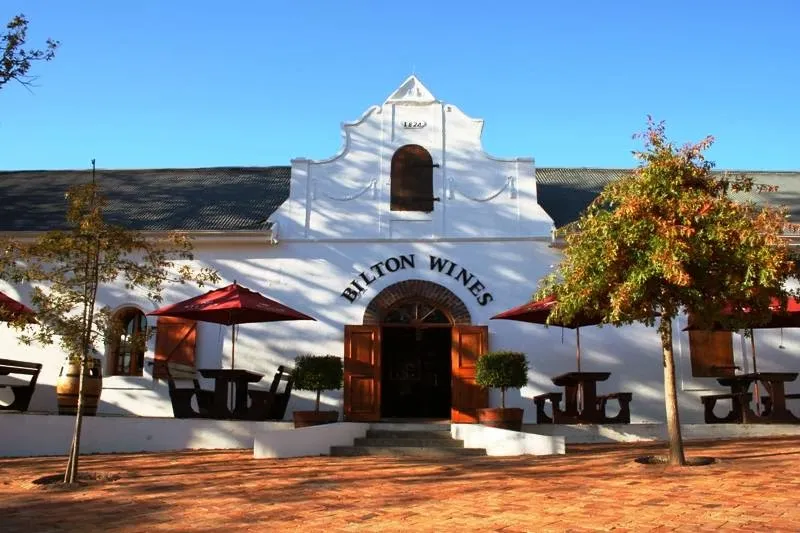 Vinehopper Wine Tours
