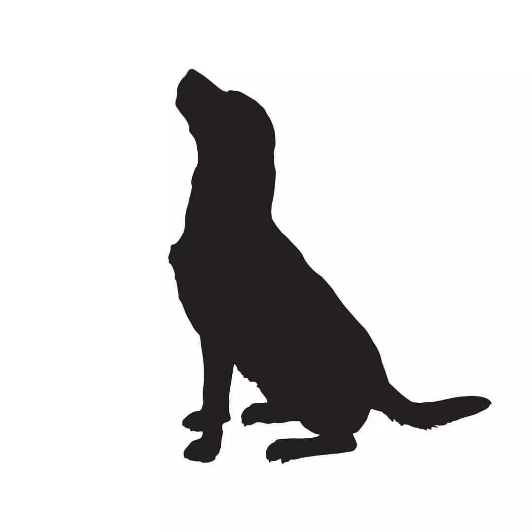 Ren logo