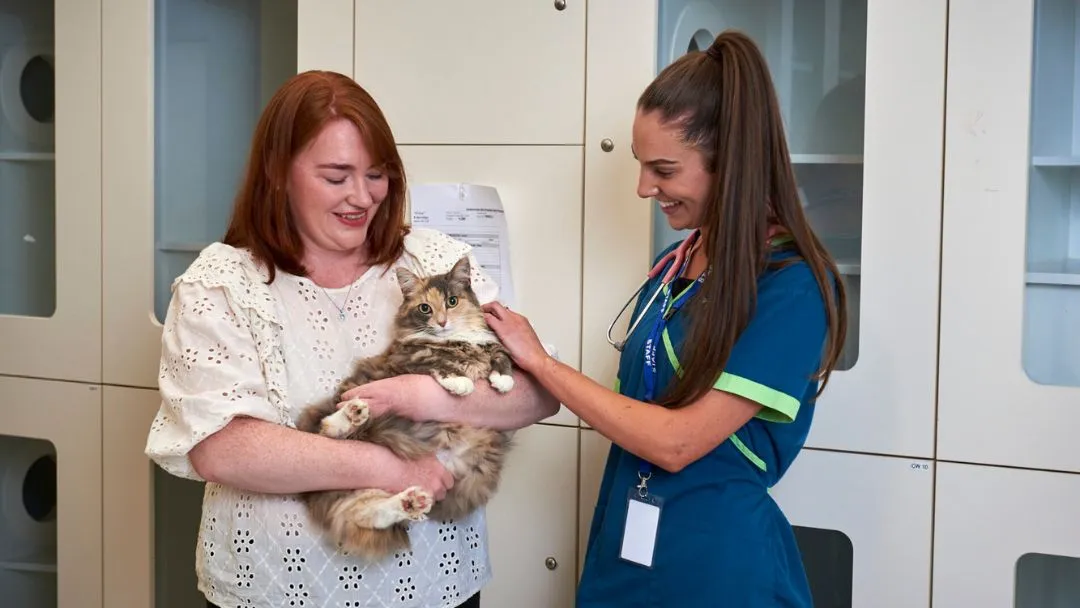 Greencross Vets Brookvale