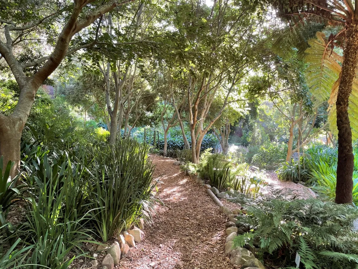 Upper Liesbeek River Garden