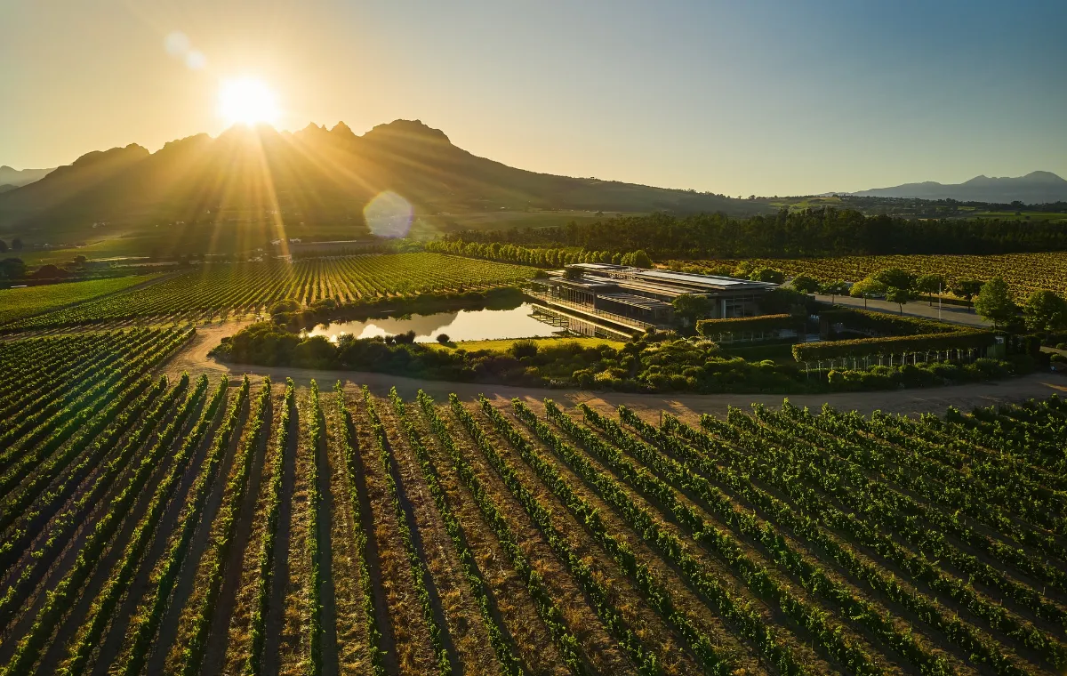 Cavalli Estate