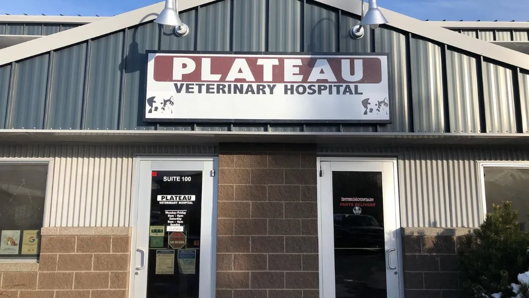 Dorrigo Plateau Veterinary Clinic
