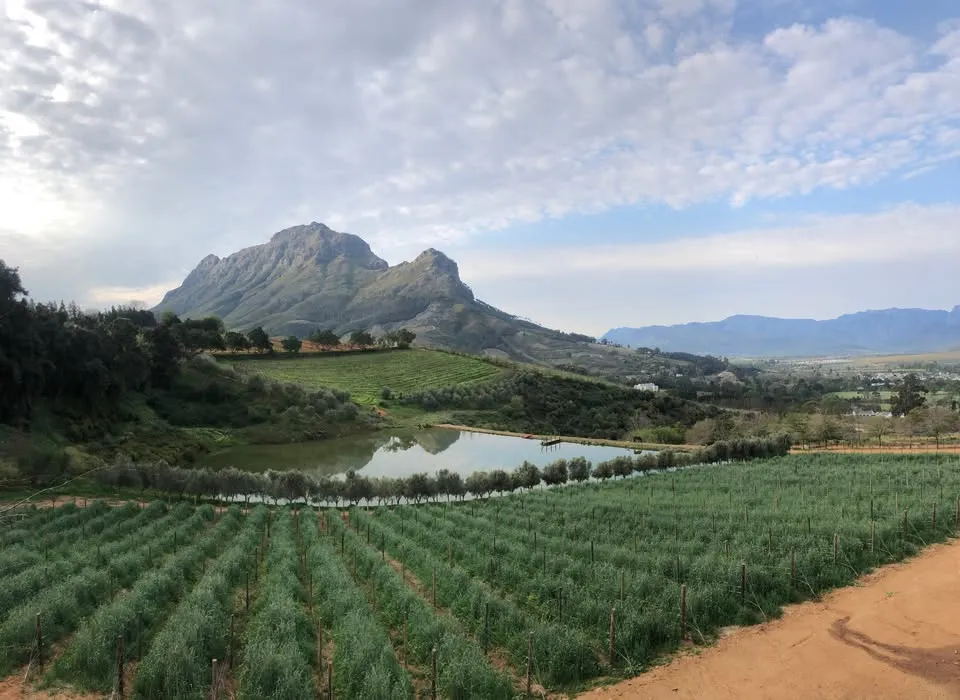 MyWineTour