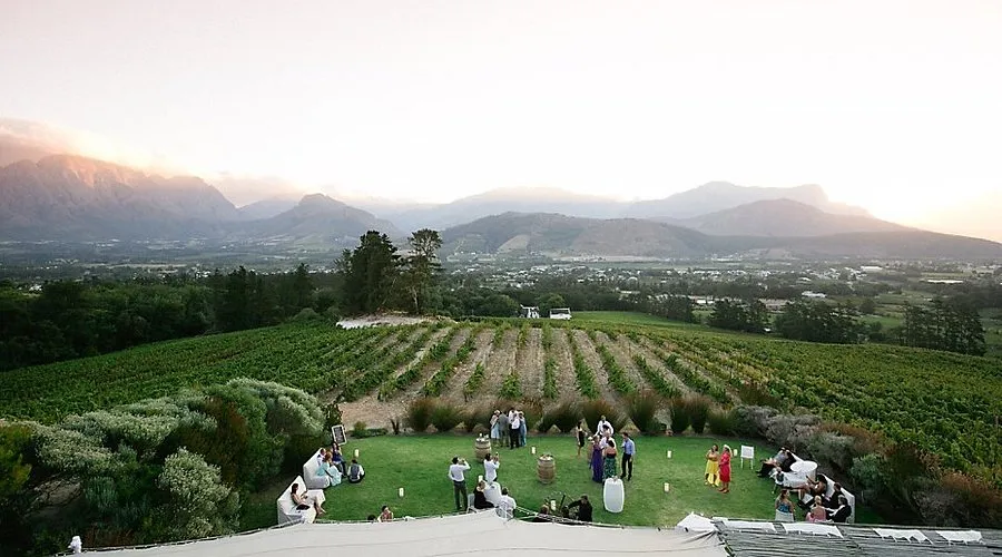 Dieu Donné Vineyards