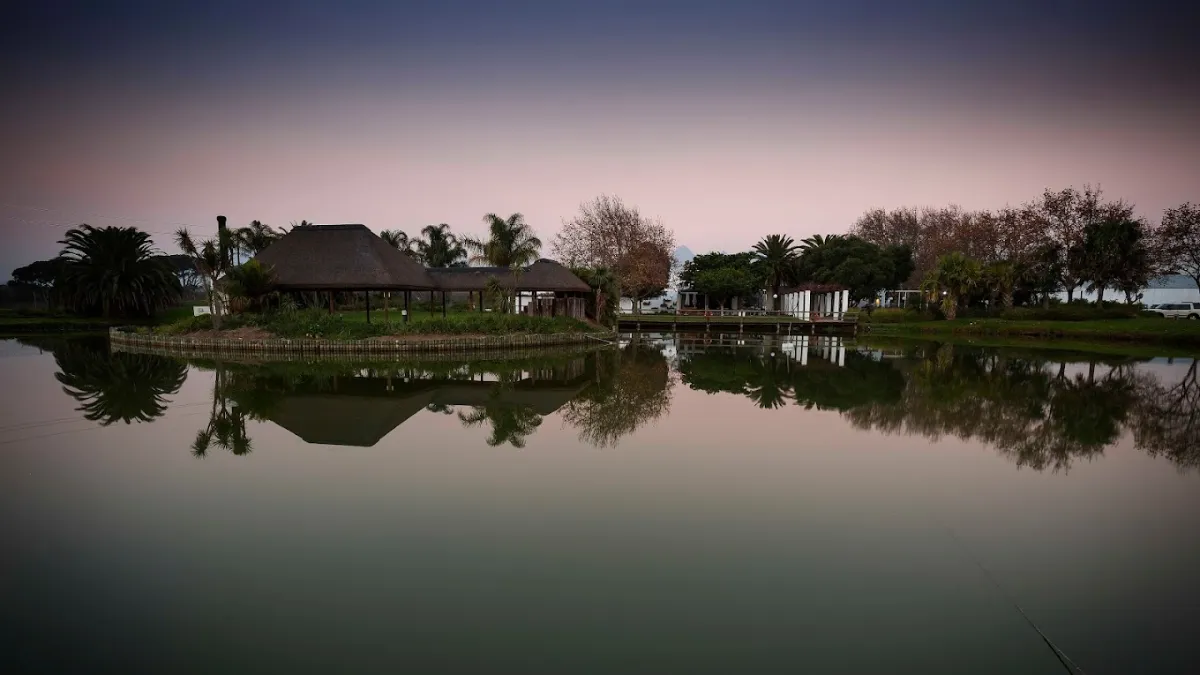 Stellenbosch Vineyards