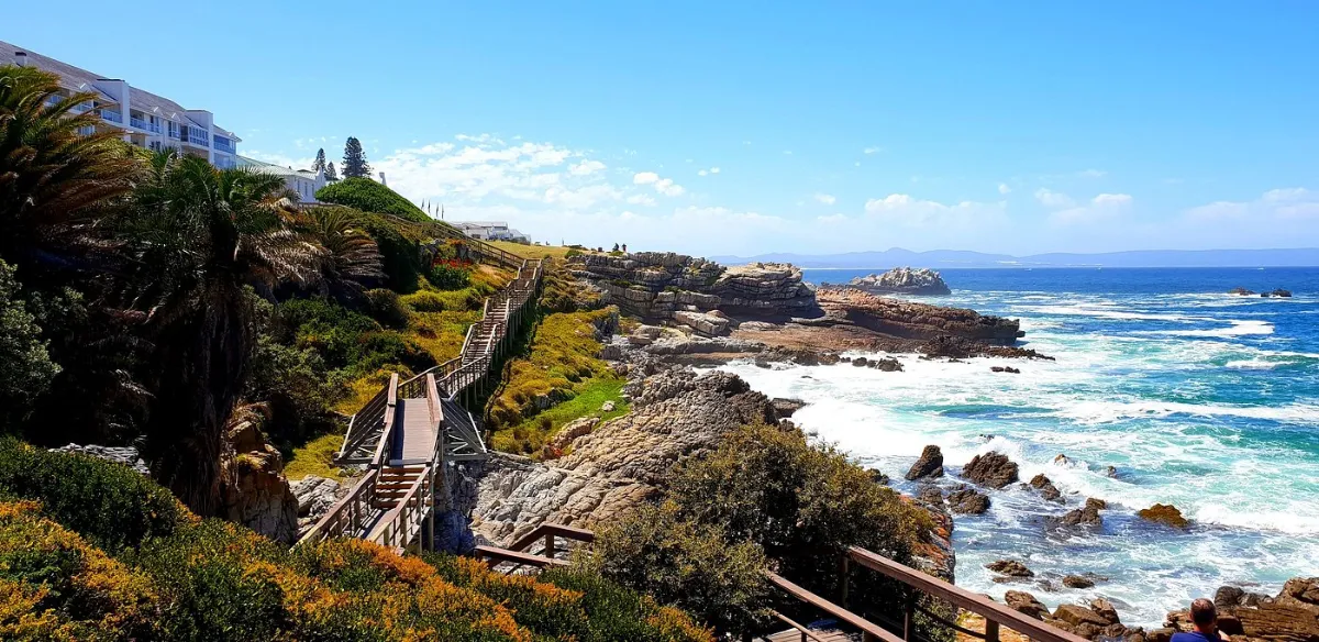 Hermanus Cliff Path Biodiversity Walk