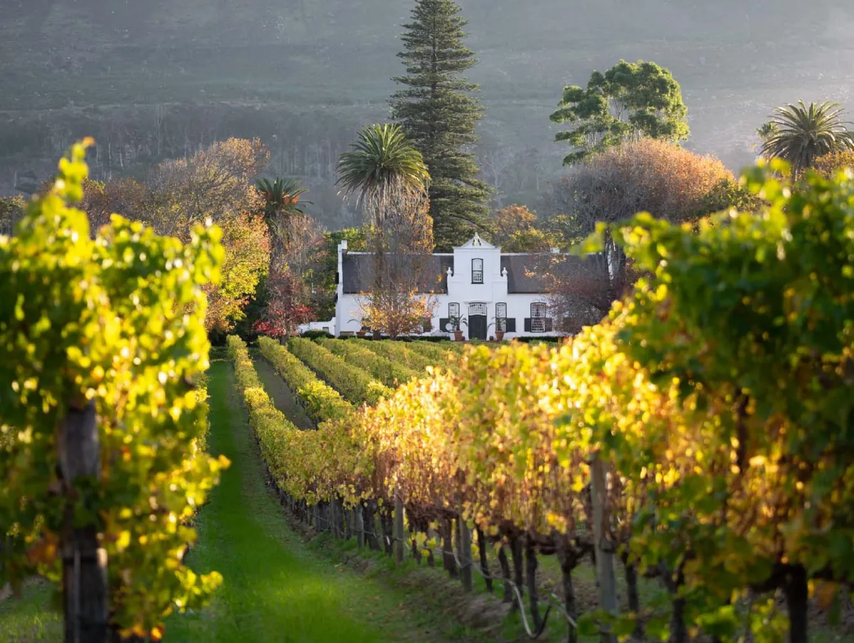 Constantia Valley