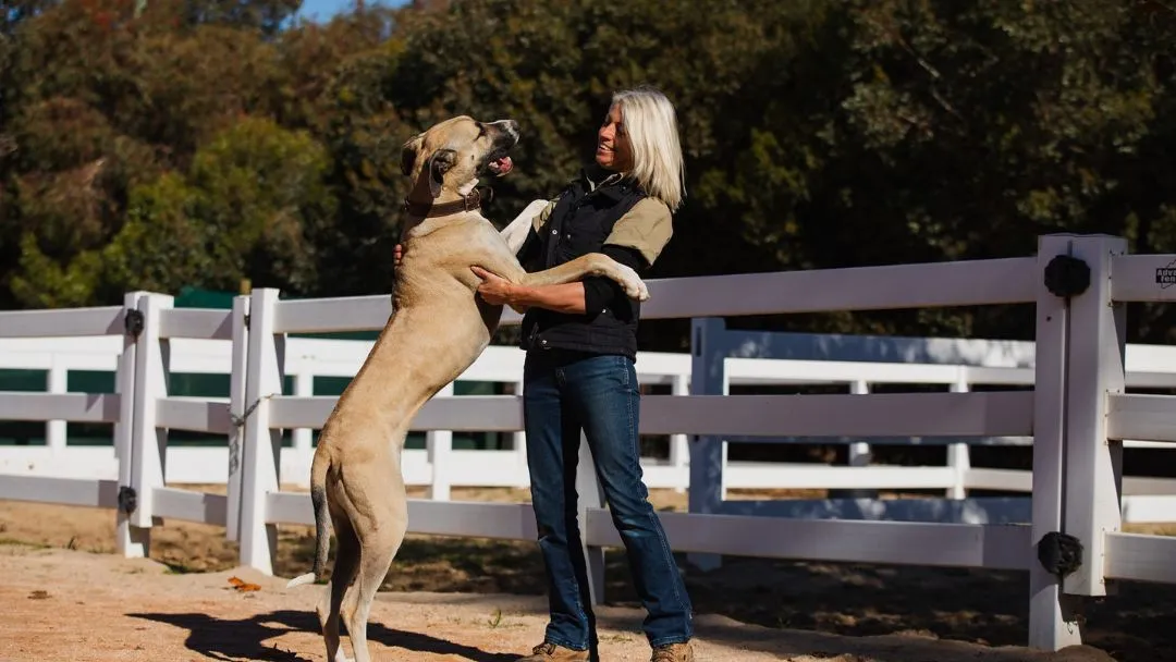 Riverbend Veterinary Service