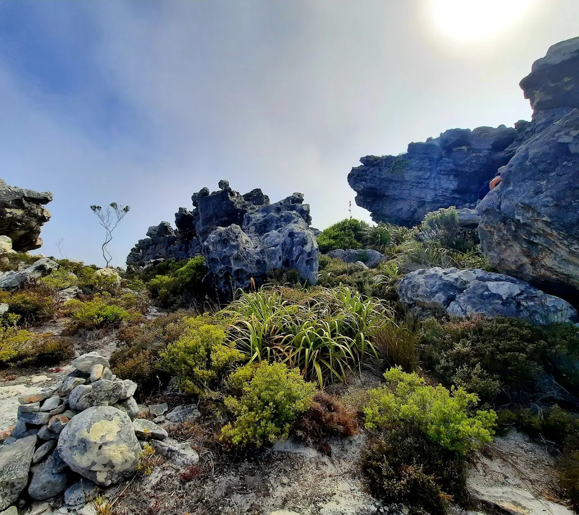 Silvermine Hiking Trail