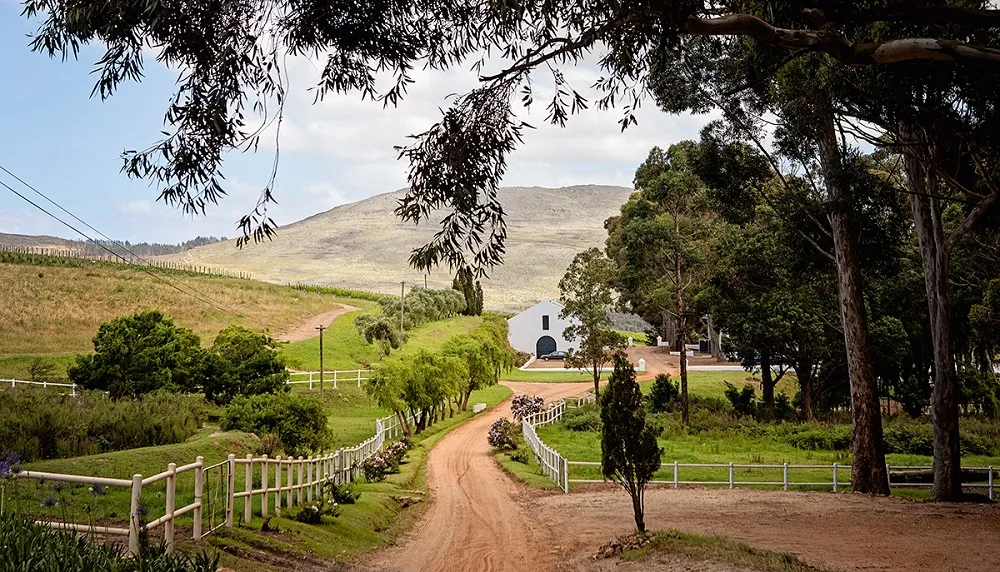 Hamilton Russell Vineyards