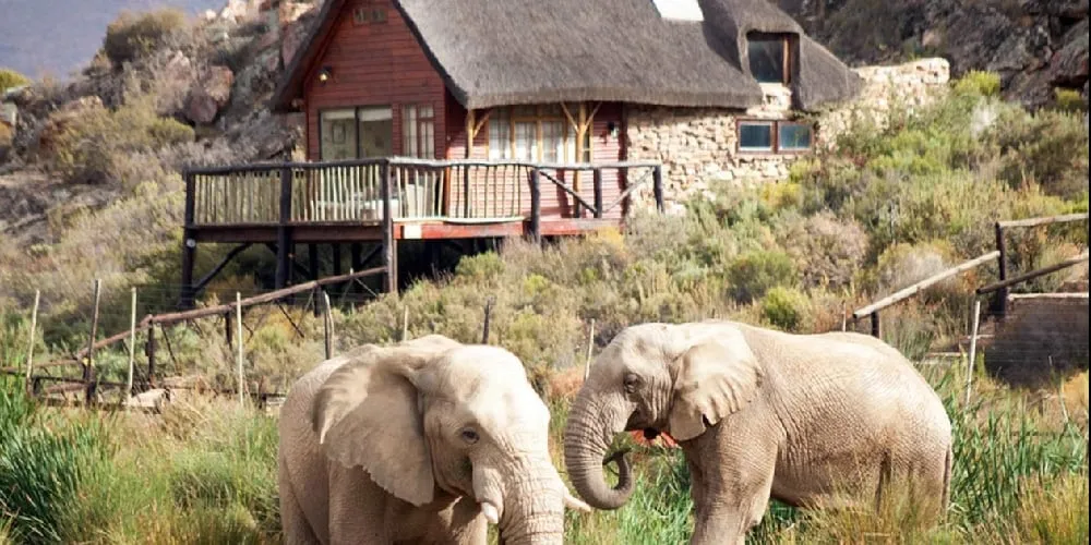 Aquila Private Game Reserve