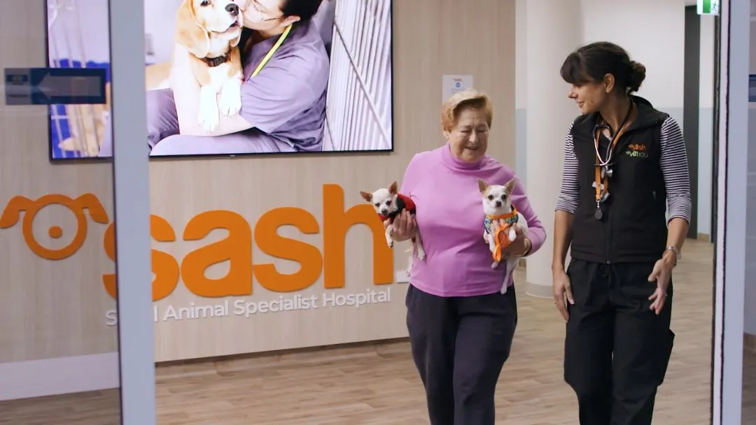 North Ryde 24/7 Veterinary Hospital