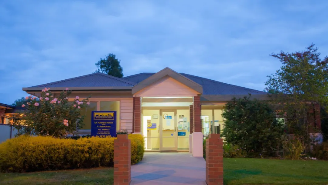 Seymour Veterinary Surgery