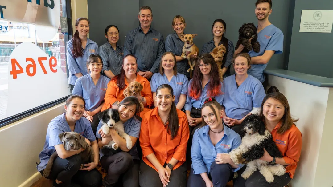 Animal Tracks Veterinary Clinic