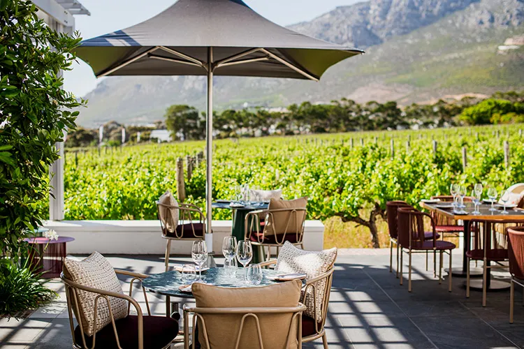 Steenberg Wine Farm