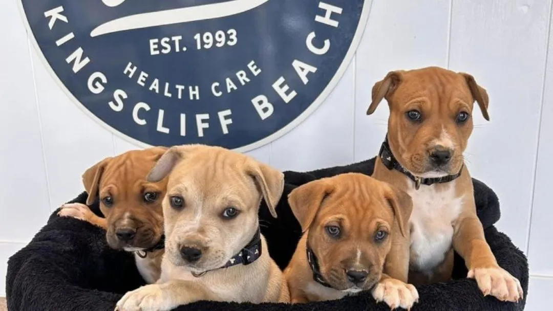 Greenway Drive Veterinary Clinic