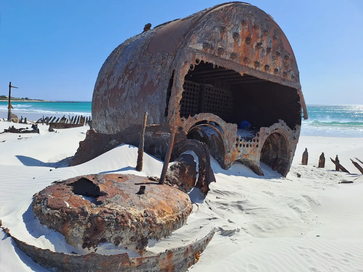 Wreck Of The Kakapo