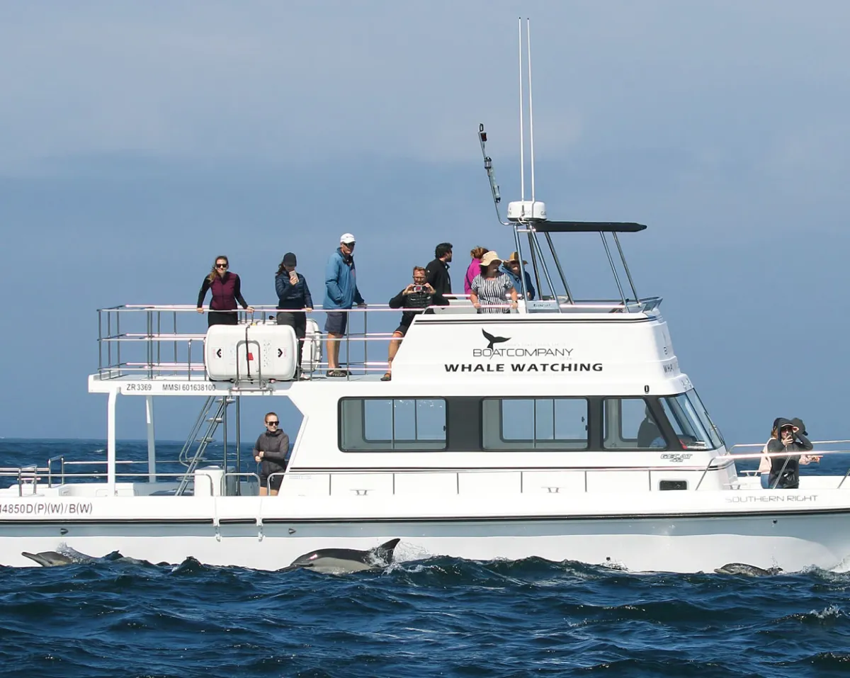 Simons Town Boat Company