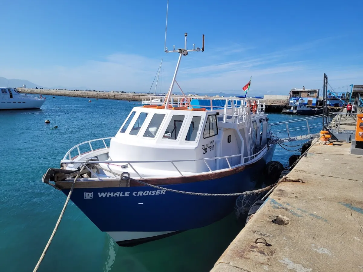 Hermanus Whale Cruises